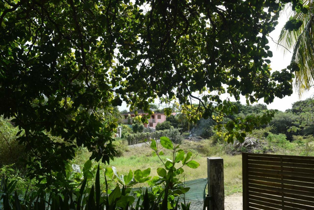 Bungalows Les Vagues Abondes Villa Sainte-Anne  Luaran gambar